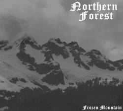 Northern Forest : Frozen Mountain